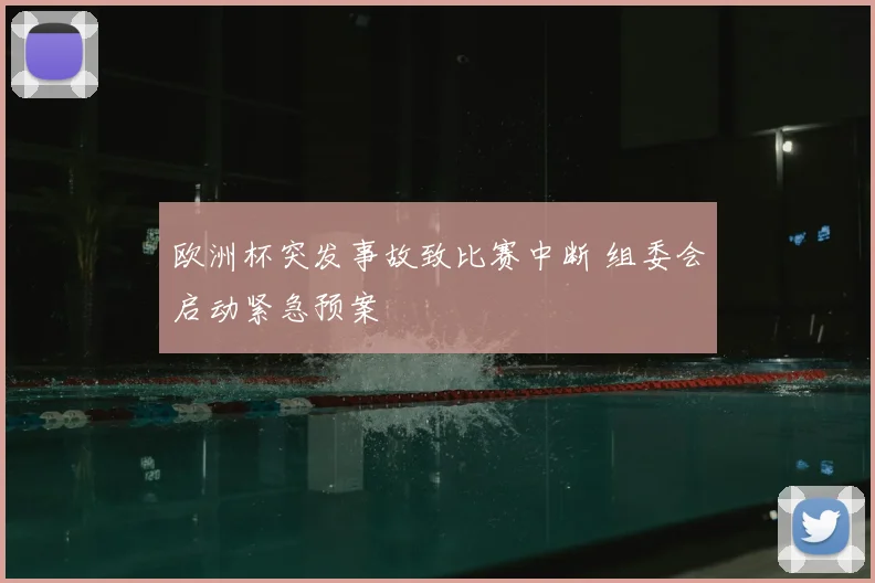 欧洲杯突发事故致比赛中断 组委会启动紧急预案