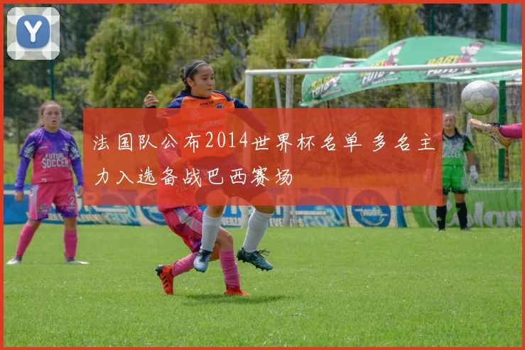 法国队公布2014世界杯名单 多名主力入选备战巴西赛场